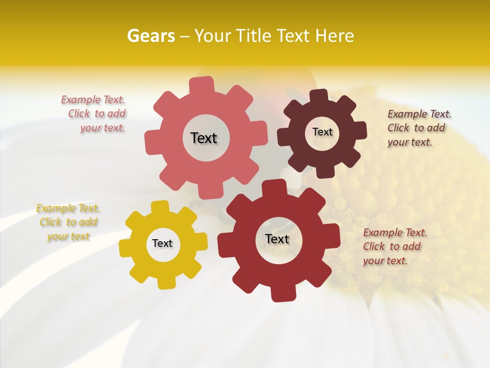 Blossom Background Insect PowerPoint Template