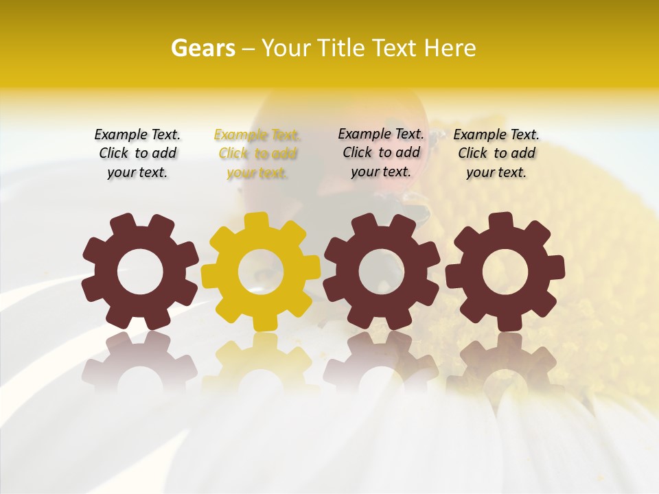 Blossom Background Insect PowerPoint Template