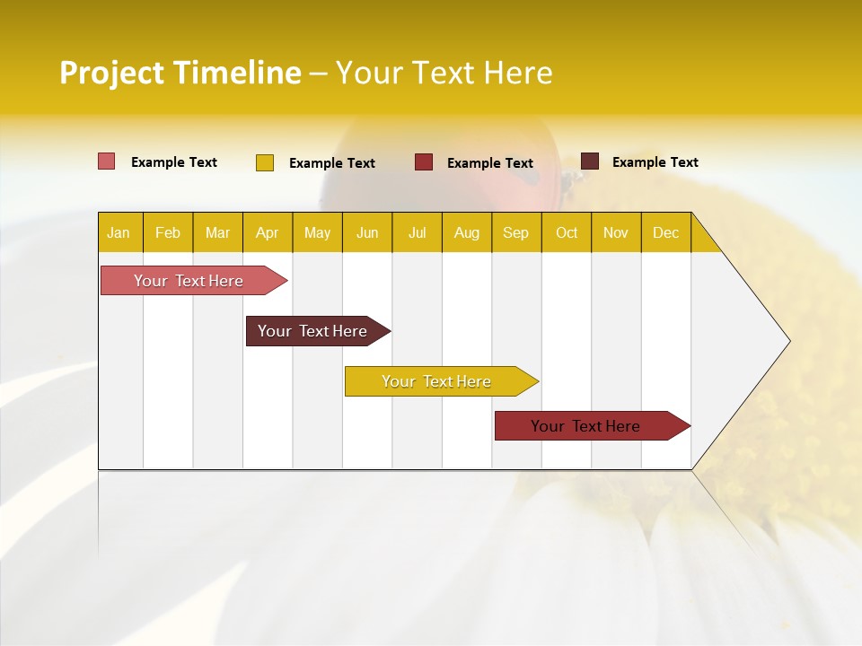 Blossom Background Insect PowerPoint Template