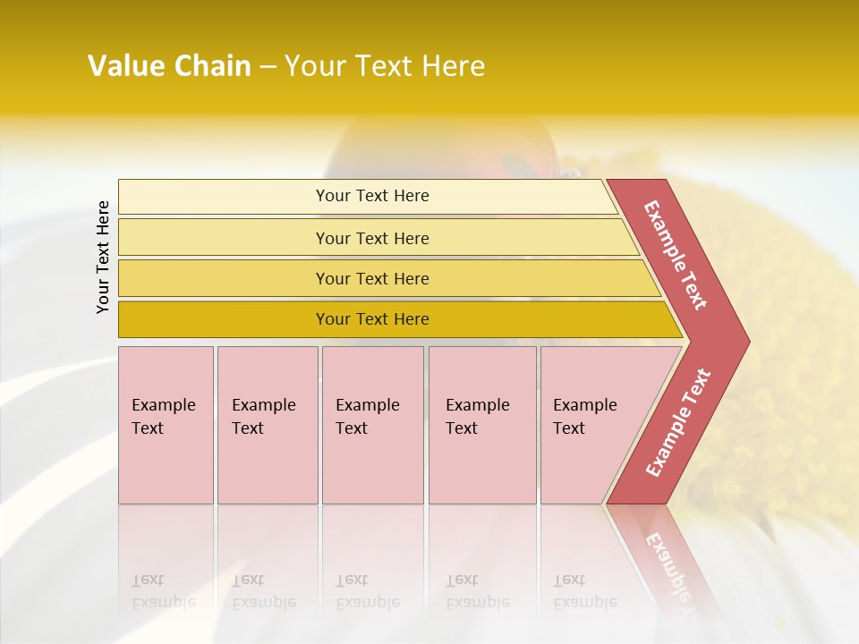 Blossom Background Insect PowerPoint Template