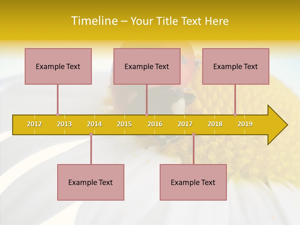 Blossom Background Insect PowerPoint Template