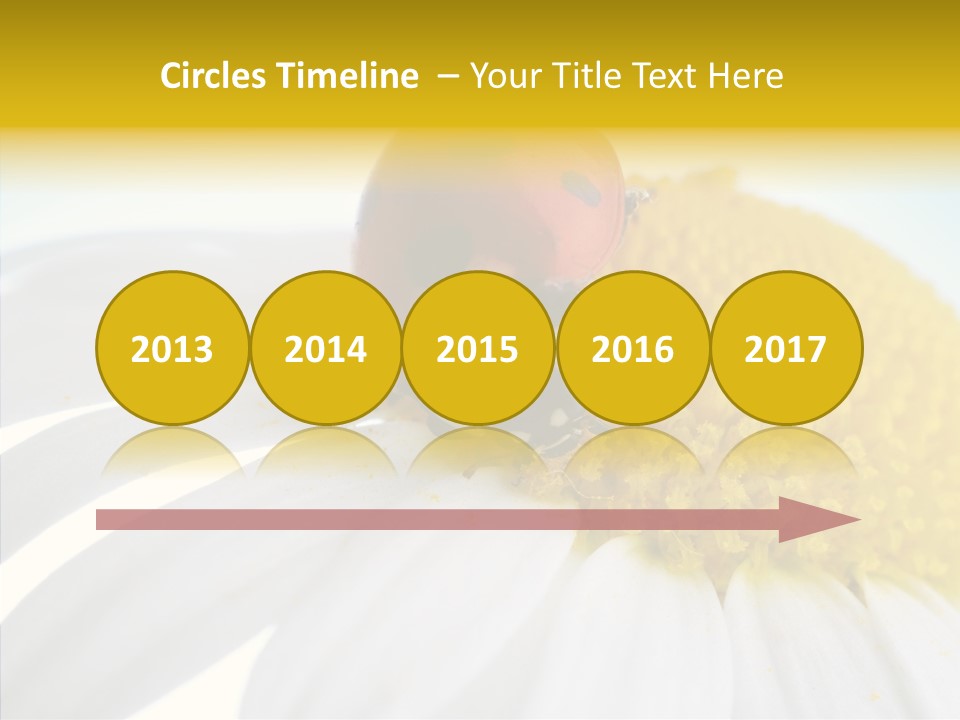 Blossom Background Insect PowerPoint Template