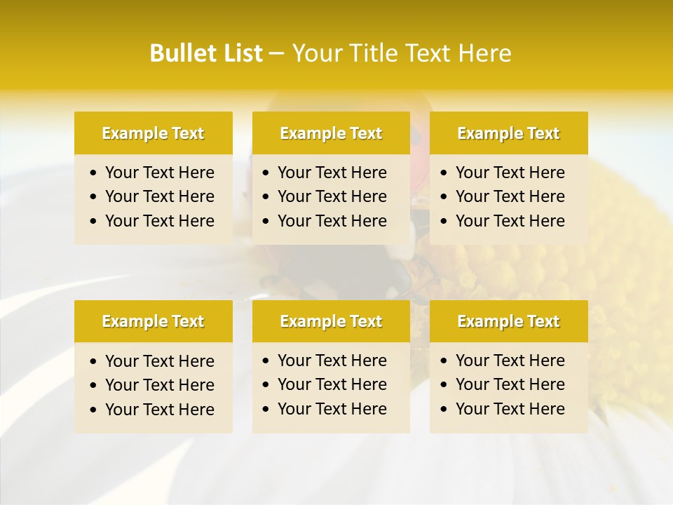 Blossom Background Insect PowerPoint Template