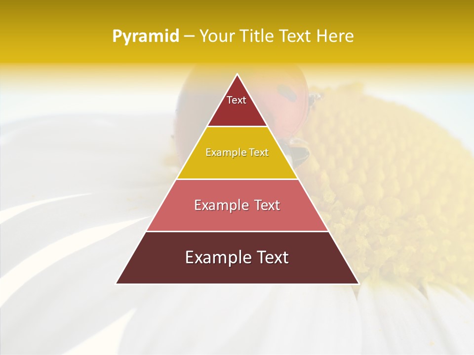 Blossom Background Insect PowerPoint Template