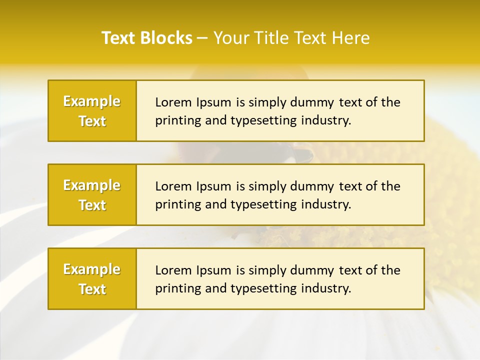 Blossom Background Insect PowerPoint Template