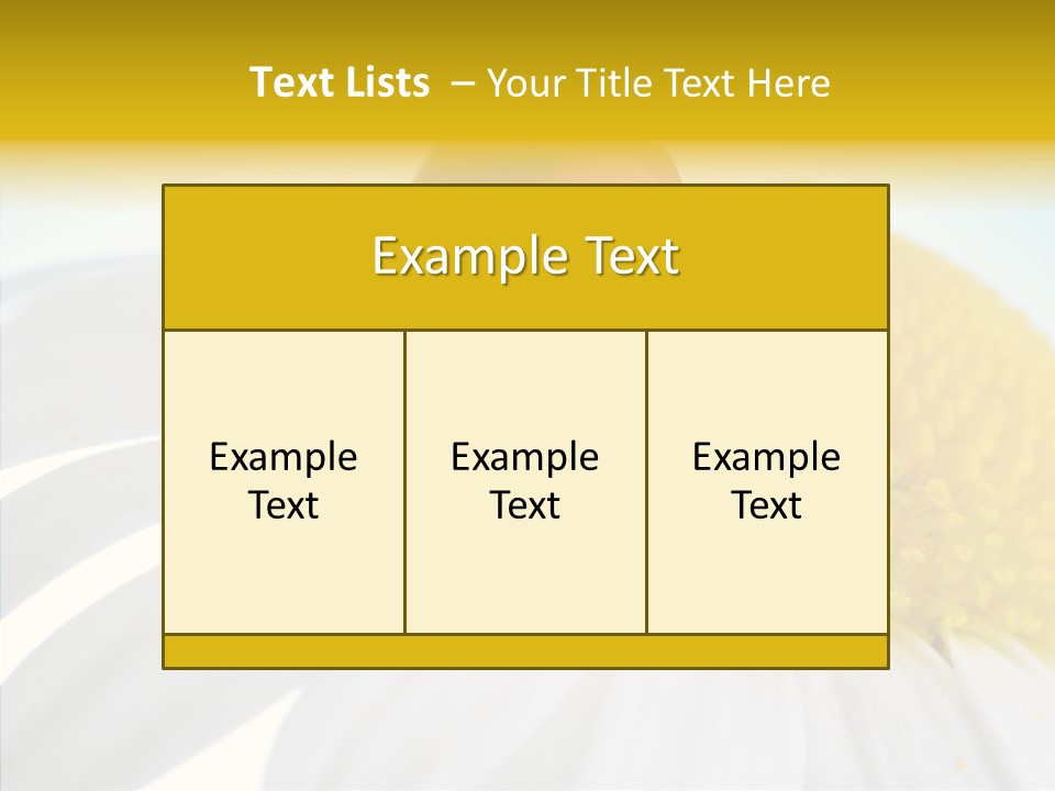 Blossom Background Insect PowerPoint Template