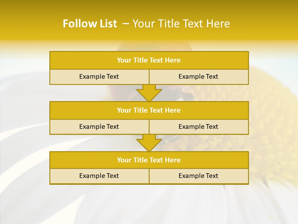 Blossom Background Insect PowerPoint Template