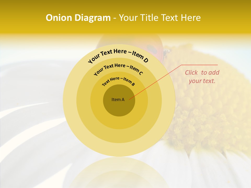 Blossom Background Insect PowerPoint Template