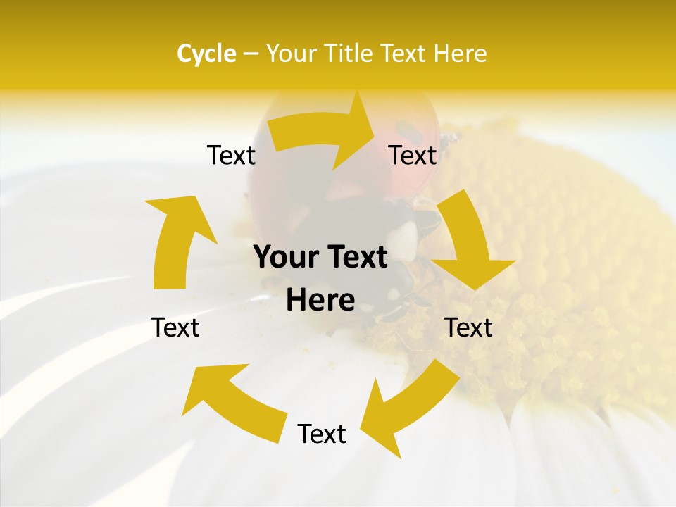 Blossom Background Insect PowerPoint Template