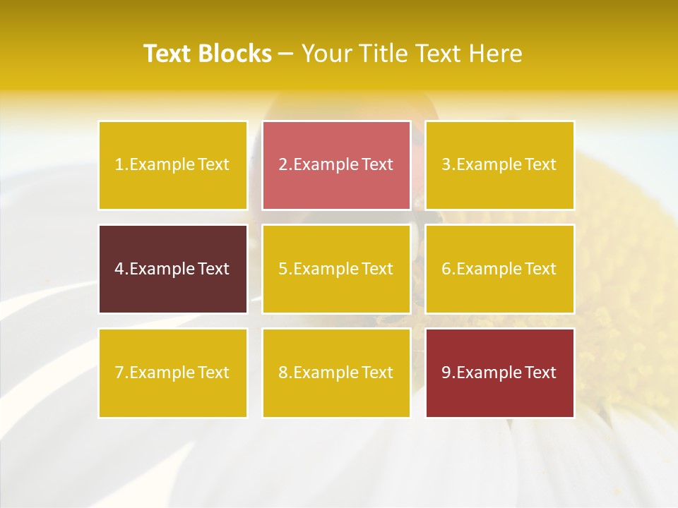 Blossom Background Insect PowerPoint Template