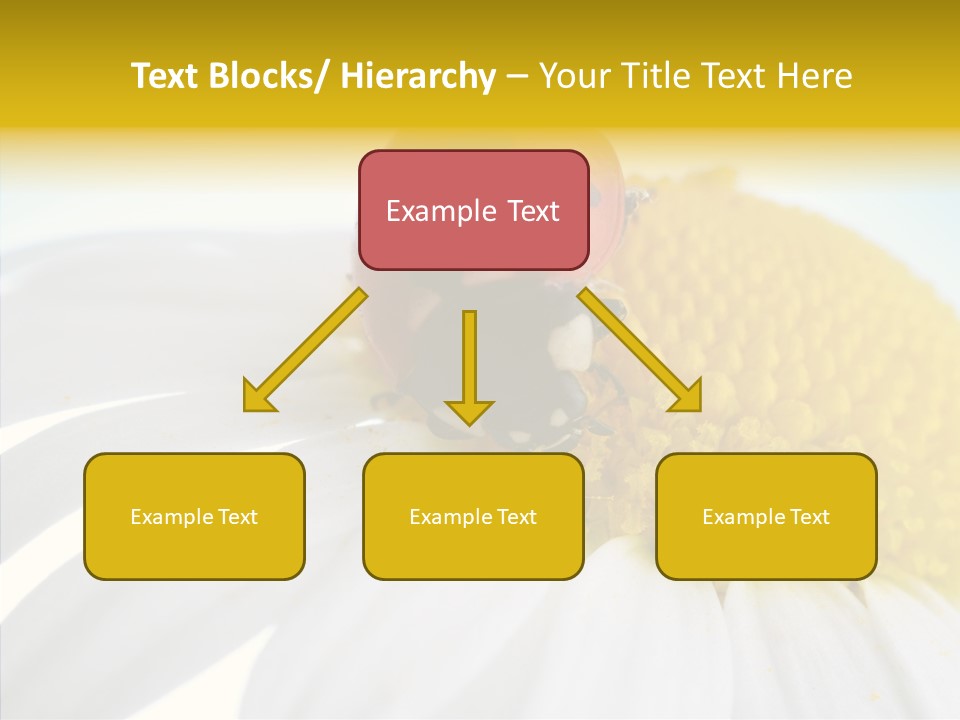 Blossom Background Insect PowerPoint Template