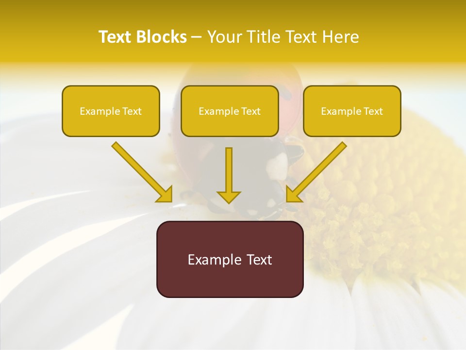 Blossom Background Insect PowerPoint Template