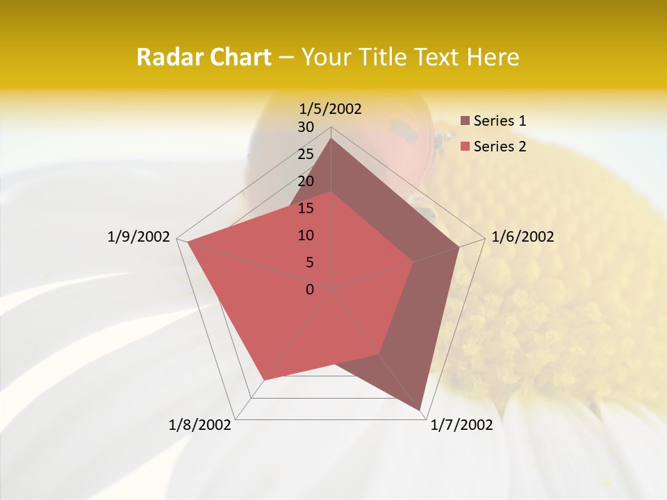 Blossom Background Insect PowerPoint Template