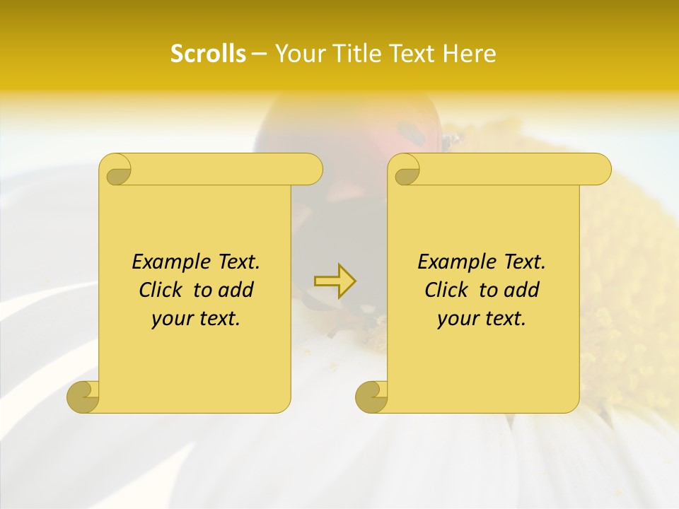 Blossom Background Insect PowerPoint Template