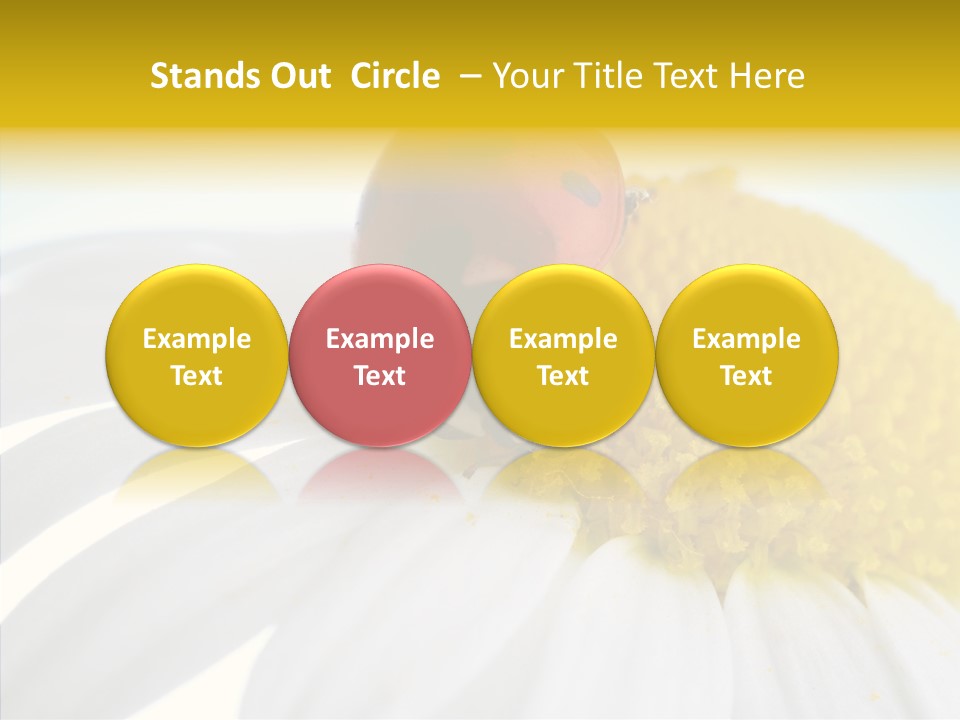 Blossom Background Insect PowerPoint Template