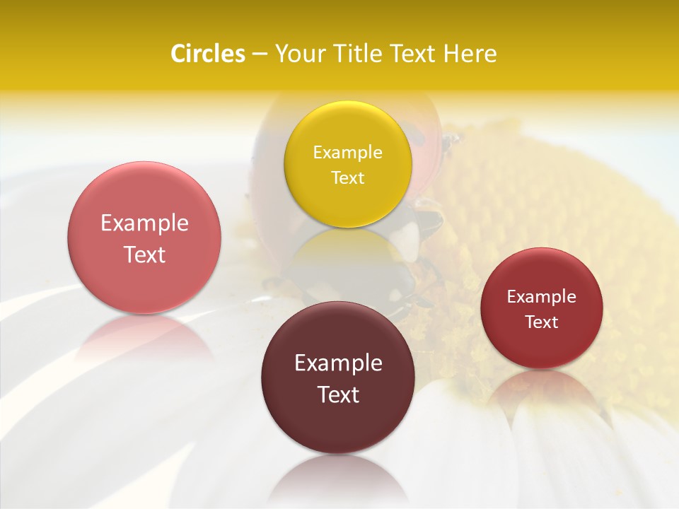 Blossom Background Insect PowerPoint Template