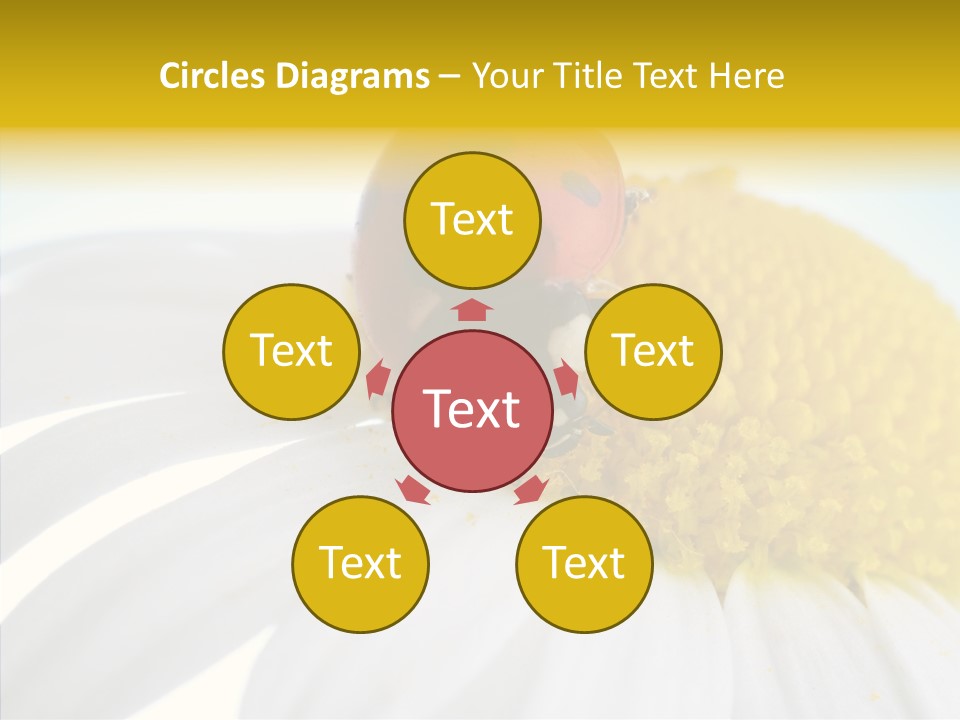 Blossom Background Insect PowerPoint Template