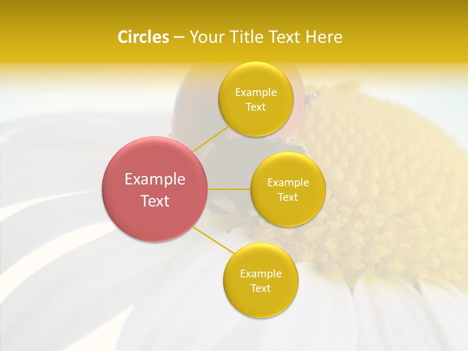 Blossom Background Insect PowerPoint Template