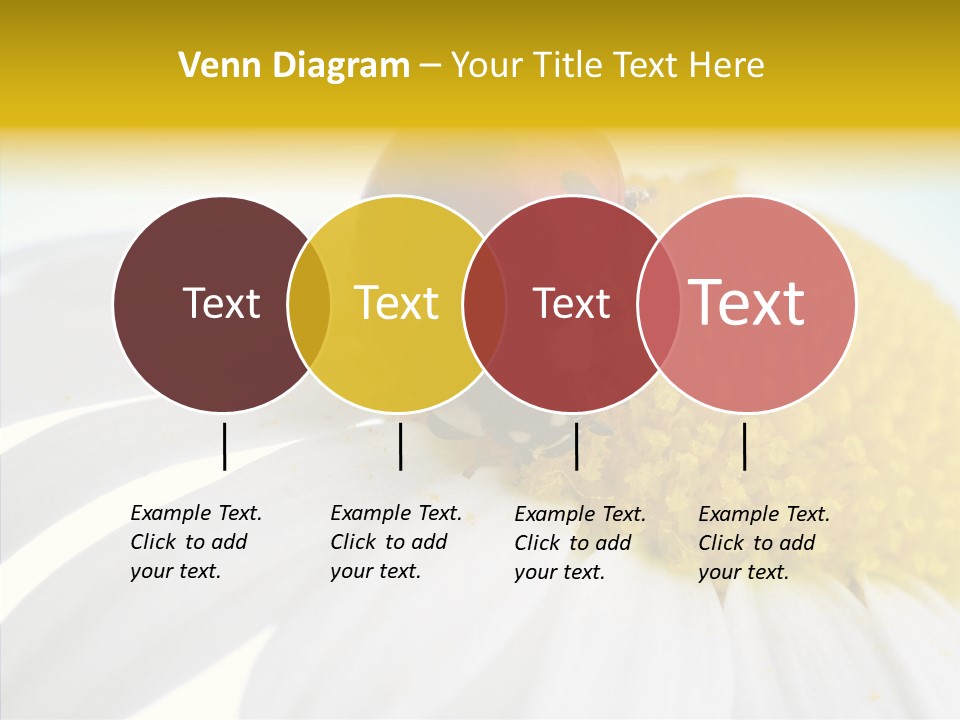 Blossom Background Insect PowerPoint Template