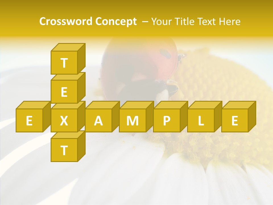 Blossom Background Insect PowerPoint Template