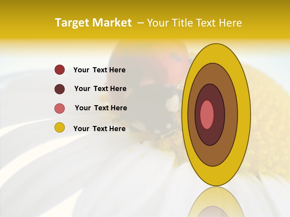 Blossom Background Insect PowerPoint Template