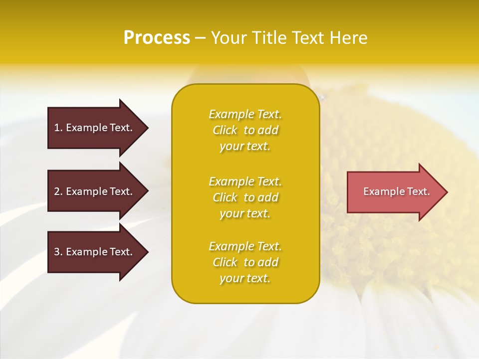 Blossom Background Insect PowerPoint Template
