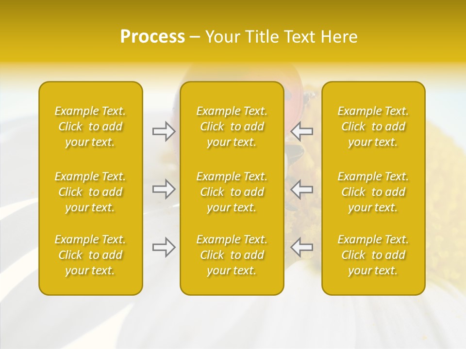 Blossom Background Insect PowerPoint Template