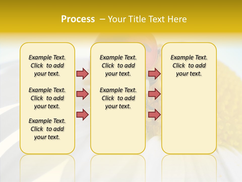 Blossom Background Insect PowerPoint Template