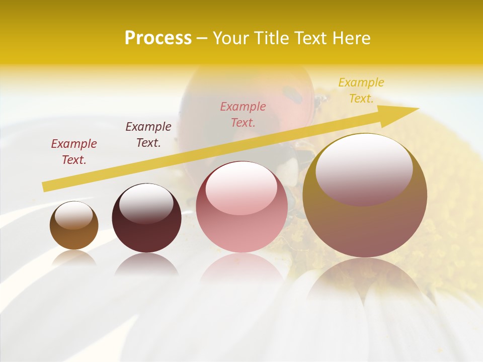 Blossom Background Insect PowerPoint Template