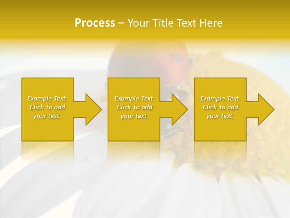 Blossom Background Insect PowerPoint Template
