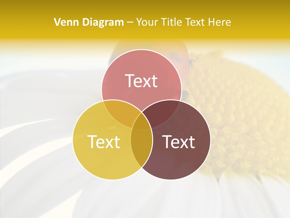 Blossom Background Insect PowerPoint Template