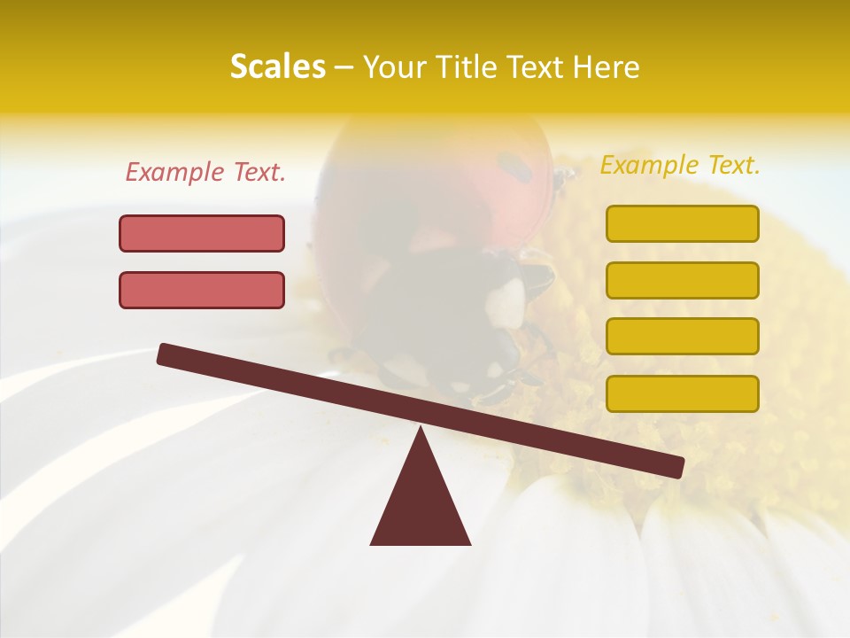 Blossom Background Insect PowerPoint Template