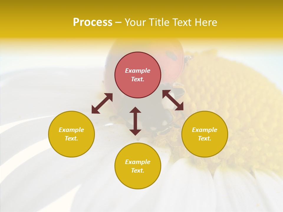 Blossom Background Insect PowerPoint Template