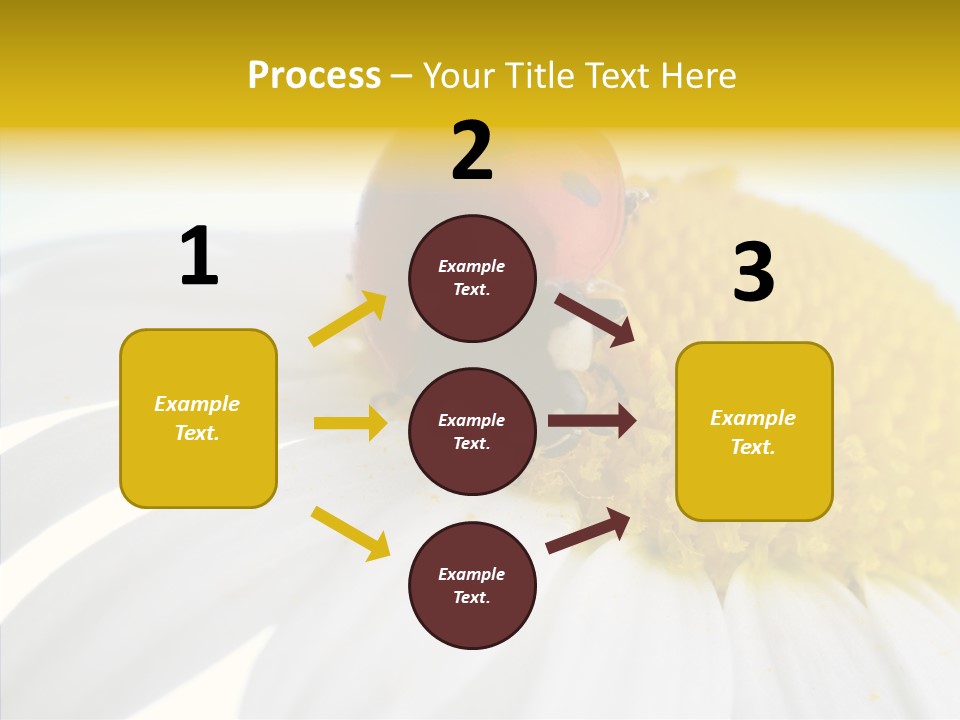 Blossom Background Insect PowerPoint Template