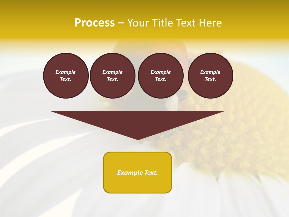 Blossom Background Insect PowerPoint Template