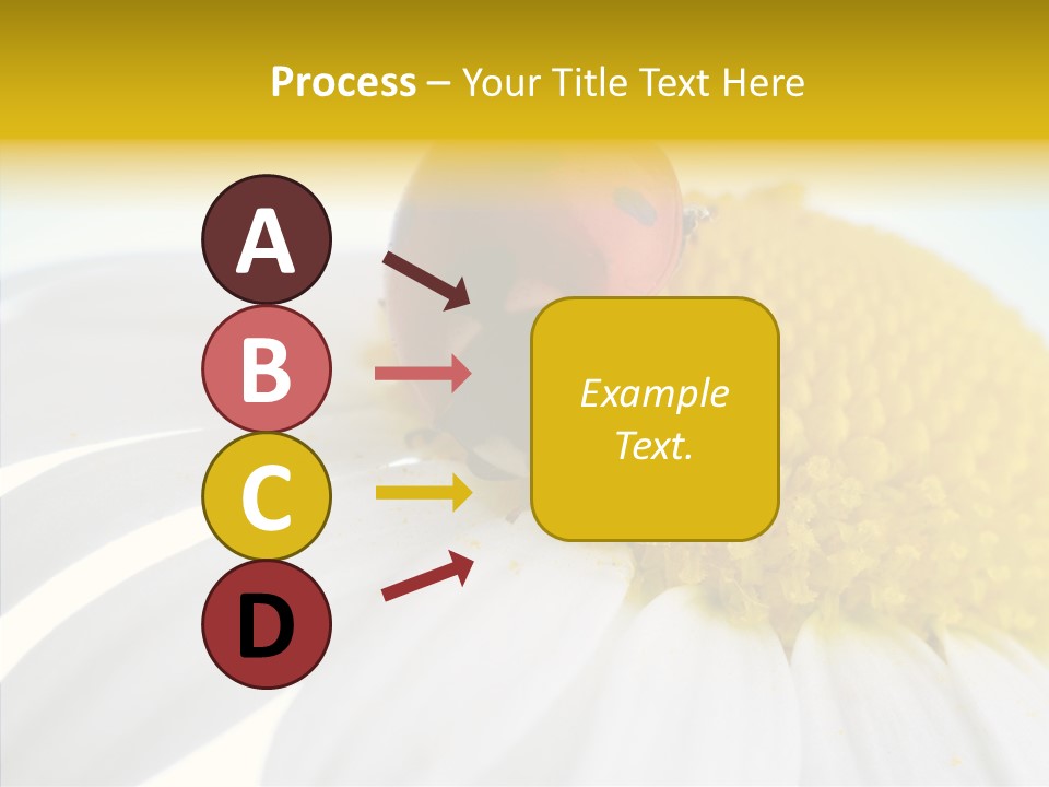 Blossom Background Insect PowerPoint Template