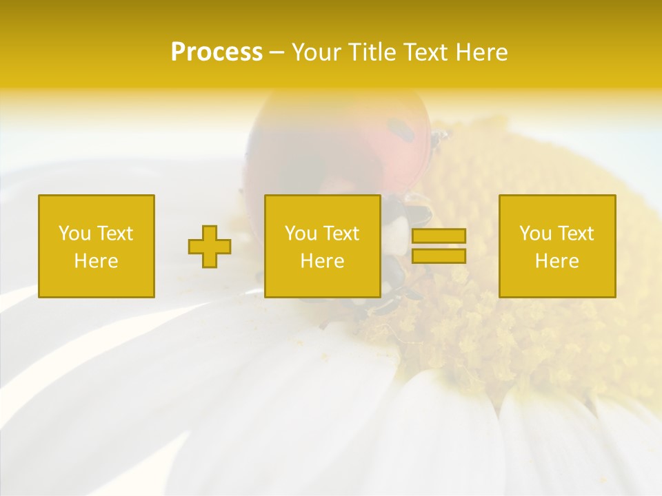 Blossom Background Insect PowerPoint Template