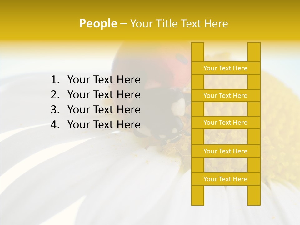 Blossom Background Insect PowerPoint Template