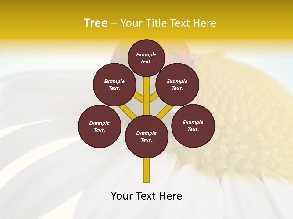 Blossom Background Insect PowerPoint Template