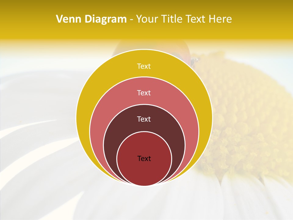 Blossom Background Insect PowerPoint Template