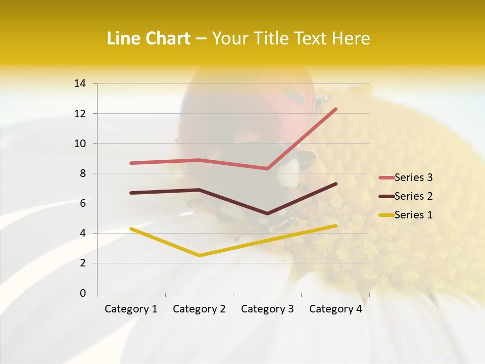 Blossom Background Insect PowerPoint Template