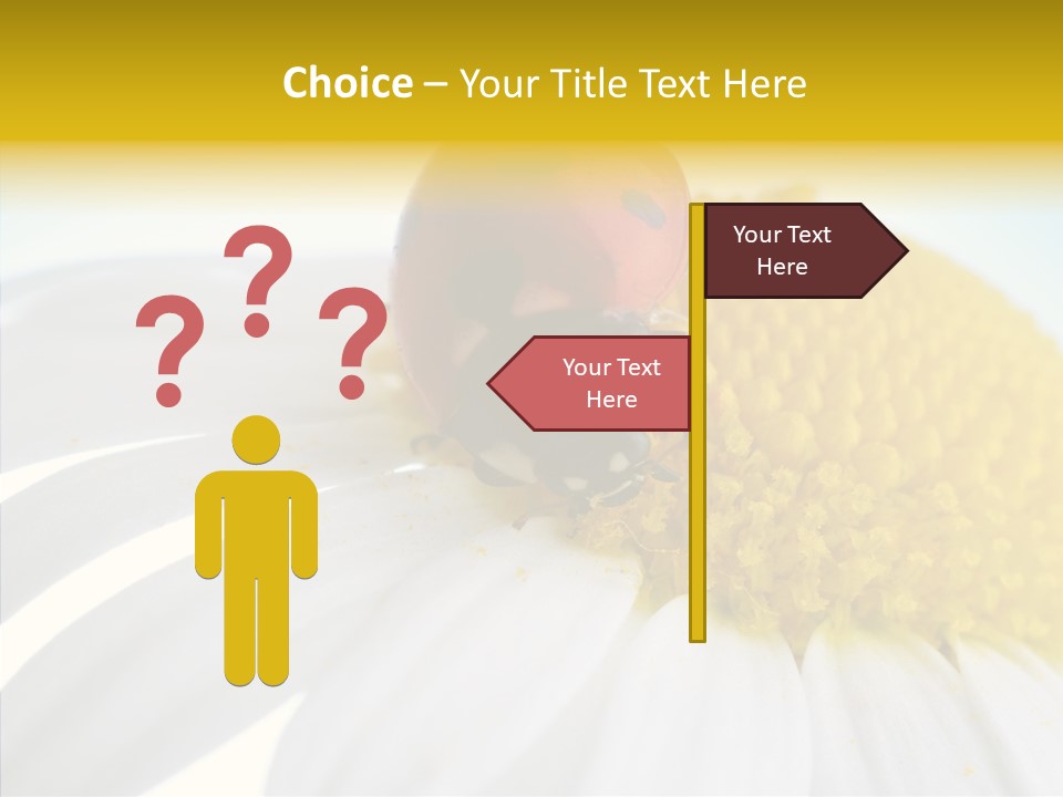 Blossom Background Insect PowerPoint Template