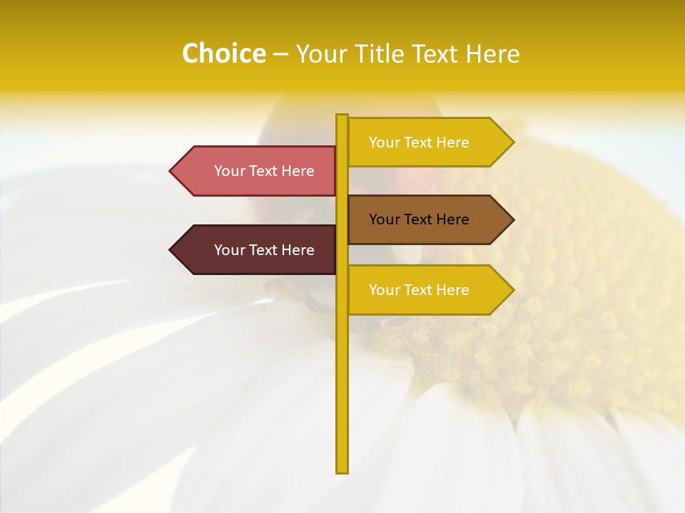 Blossom Background Insect PowerPoint Template