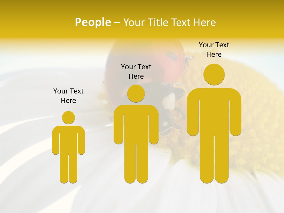 Blossom Background Insect PowerPoint Template