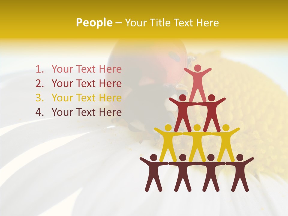 Blossom Background Insect PowerPoint Template