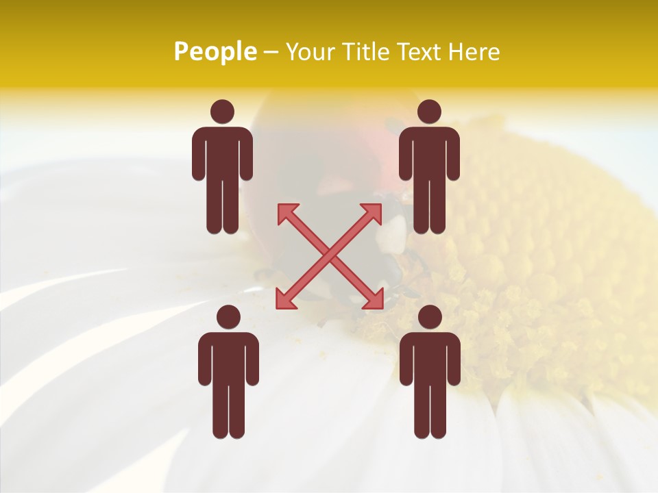 Blossom Background Insect PowerPoint Template