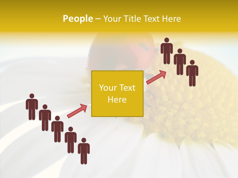 Blossom Background Insect PowerPoint Template