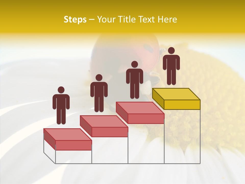 Blossom Background Insect PowerPoint Template