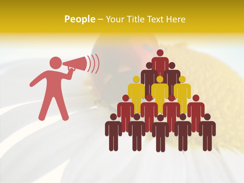 Blossom Background Insect PowerPoint Template