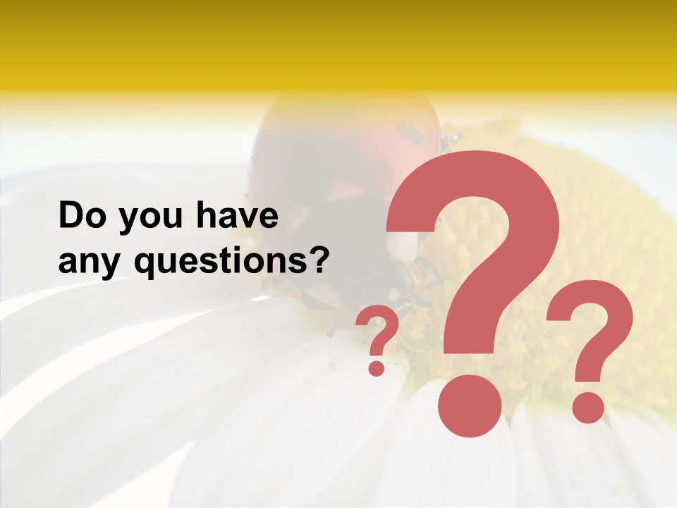 Blossom Background Insect PowerPoint Template